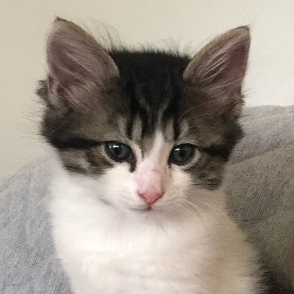 Meet your Posher, Kendra